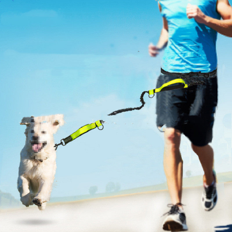Pet Products Pet Traction Rope Multifunctional 1
