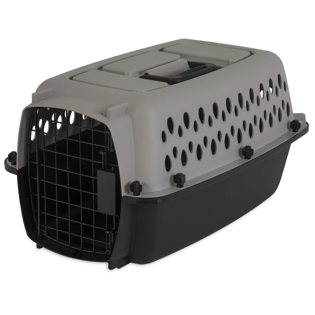 Extra Small Plastic Hard-Sided Pet Carrier, Black and Gray, 10 Lb Limit